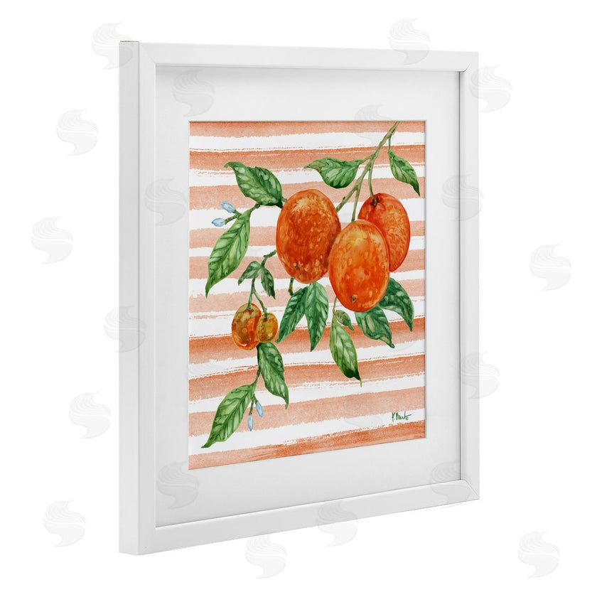 Paul Brent | Bright Juicy Orange Vine
