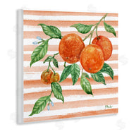 Paul Brent | Bright Juicy Orange Vine