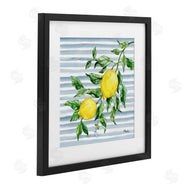 Paul Brent | Juicy Lemon Vine on Blue