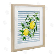 Paul Brent | Juicy Lemon Vine on Blue