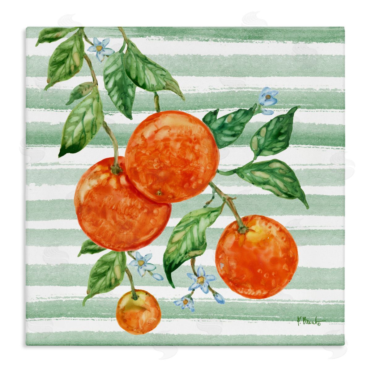 Paul Brent Juicy Orange Vine Canvas Wall Art Print