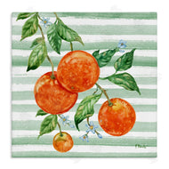 Paul Brent | Juicy Orange Vine