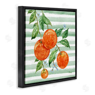 Paul Brent | Juicy Orange Vine