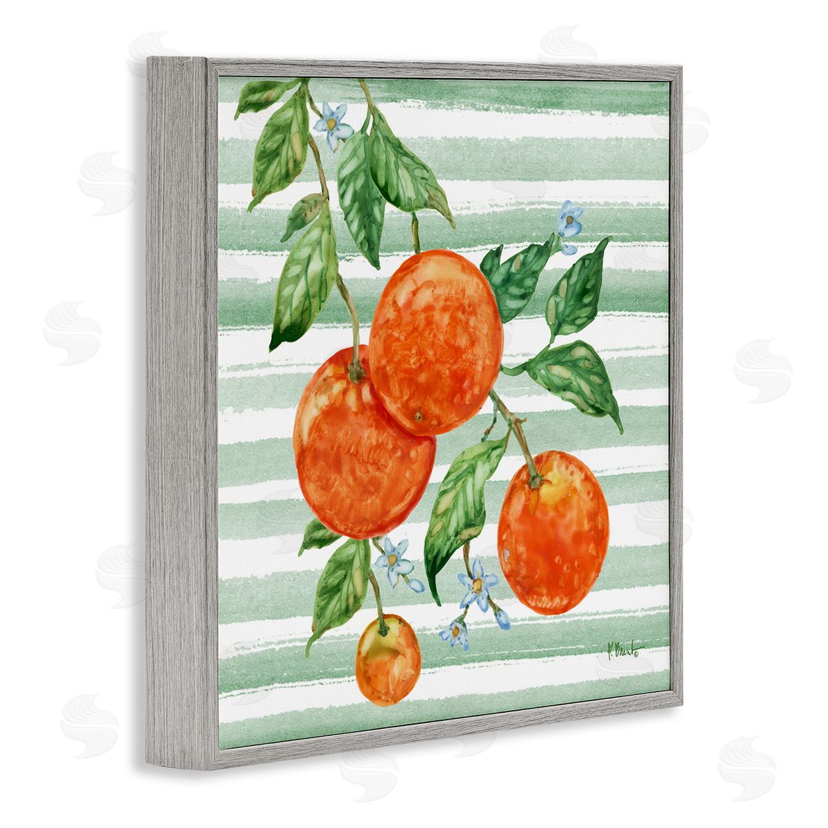 Paul Brent Juicy Orange Vine Canvas Wall Art Print