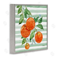 Paul Brent | Juicy Orange Vine
