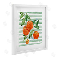 Paul Brent | Juicy Orange Vine