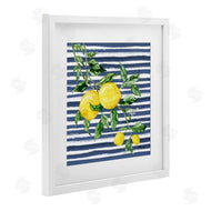 Paul Brent | Juicy Lemon Vine
