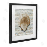 Amber Sterling | Clam Shell on Shiplap