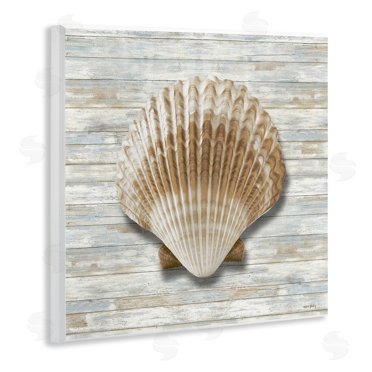 Amber Sterling Clam Shell on Shiplap Canvas Wall Art Print