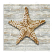 Amber Sterling | Starfish On Shiplap