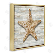 Amber Sterling | Starfish On Shiplap