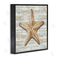 Amber Sterling | Starfish On Shiplap