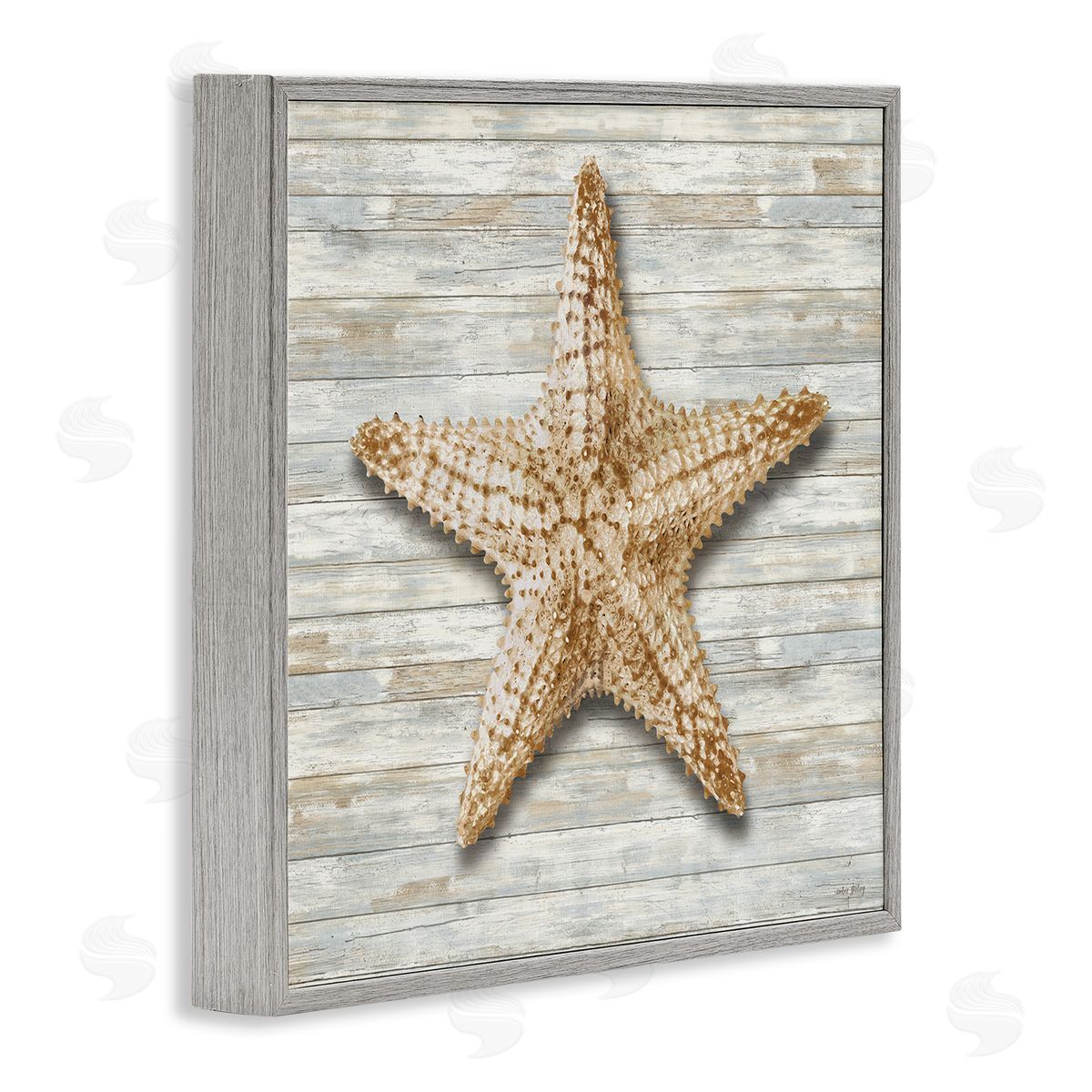 Amber Sterling Starfish On Shiplap Canvas Wall Art Print