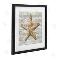 Amber Sterling | Starfish On Shiplap