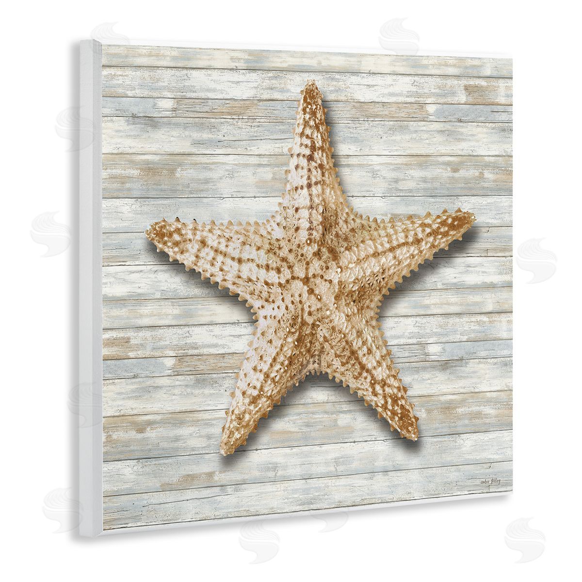 Amber Sterling Starfish On Shiplap Canvas Wall Art Print