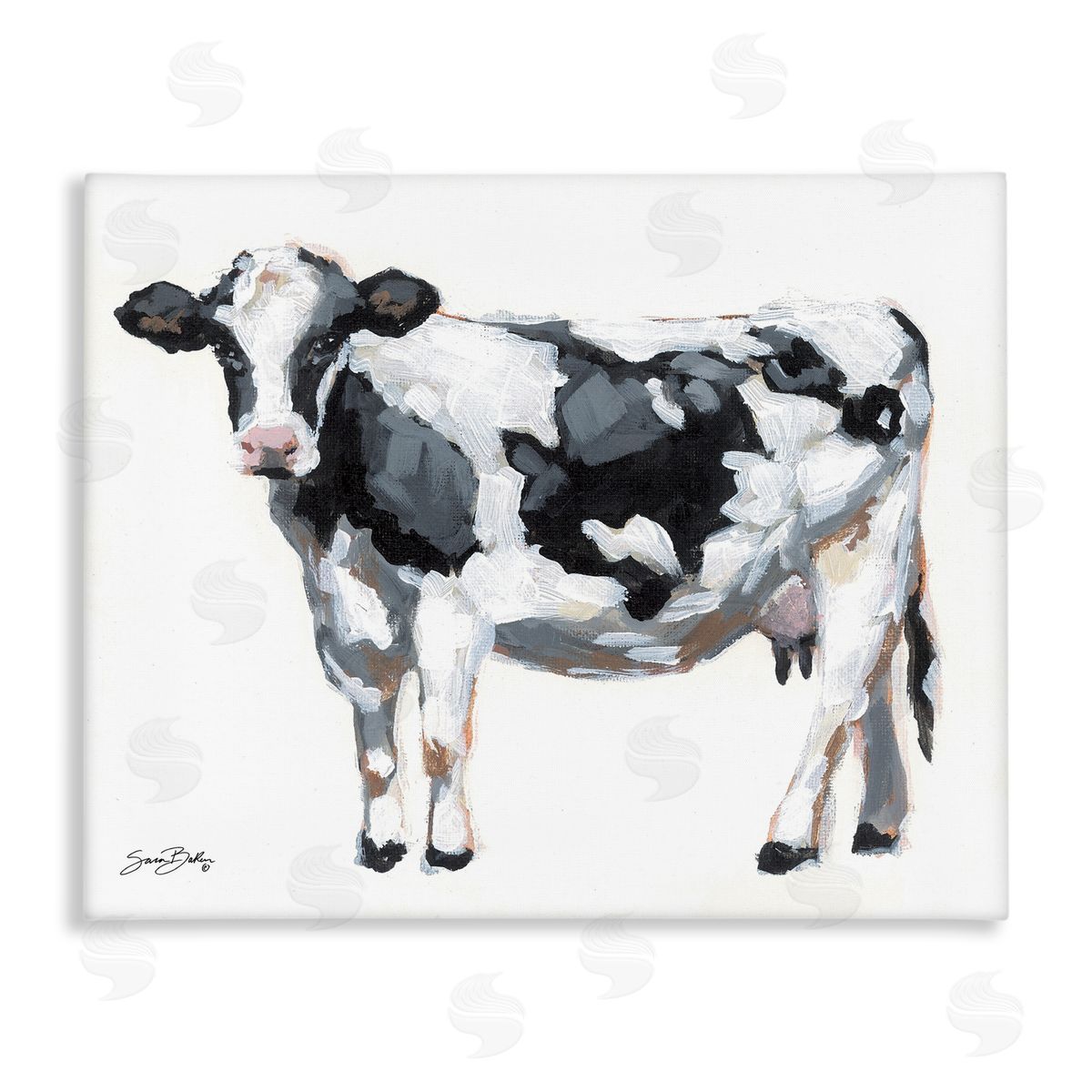 Sara Baker Dairy Cow on White Canvas Wall Art Print