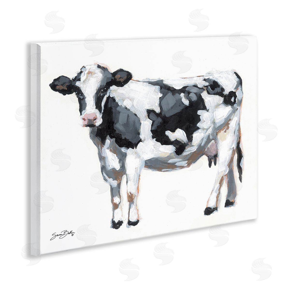 Sara Baker Dairy Cow on White Canvas Wall Art Print