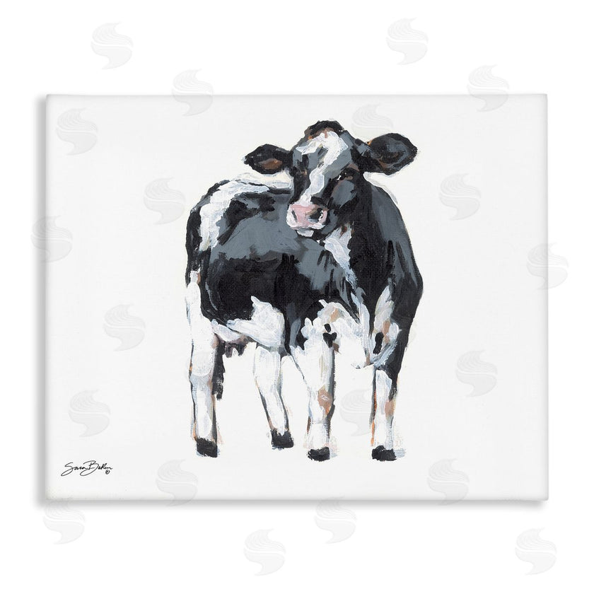 Sara Baker | Dairy Cow Gazing