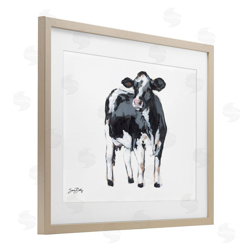 Sara Baker | Dairy Cow Gazing