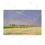 Seven Trees Design | Soft Light On Open Fields