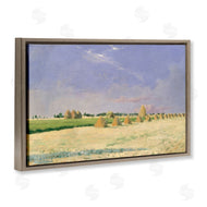 Seven Trees Design | Soft Light On Open Fields