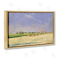 Seven Trees Design | Soft Light On Open Fields