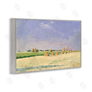 Seven Trees Design | Soft Light On Open Fields