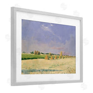 Seven Trees Design | Soft Light On Open Fields