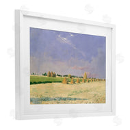 Seven Trees Design | Soft Light On Open Fields