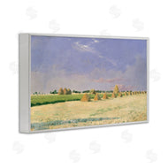 Seven Trees Design | Soft Light On Open Fields