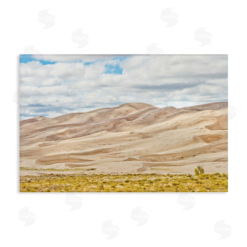 Seven Trees Design | Dunes In The Distance