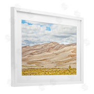 Seven Trees Design | Dunes In The Distance