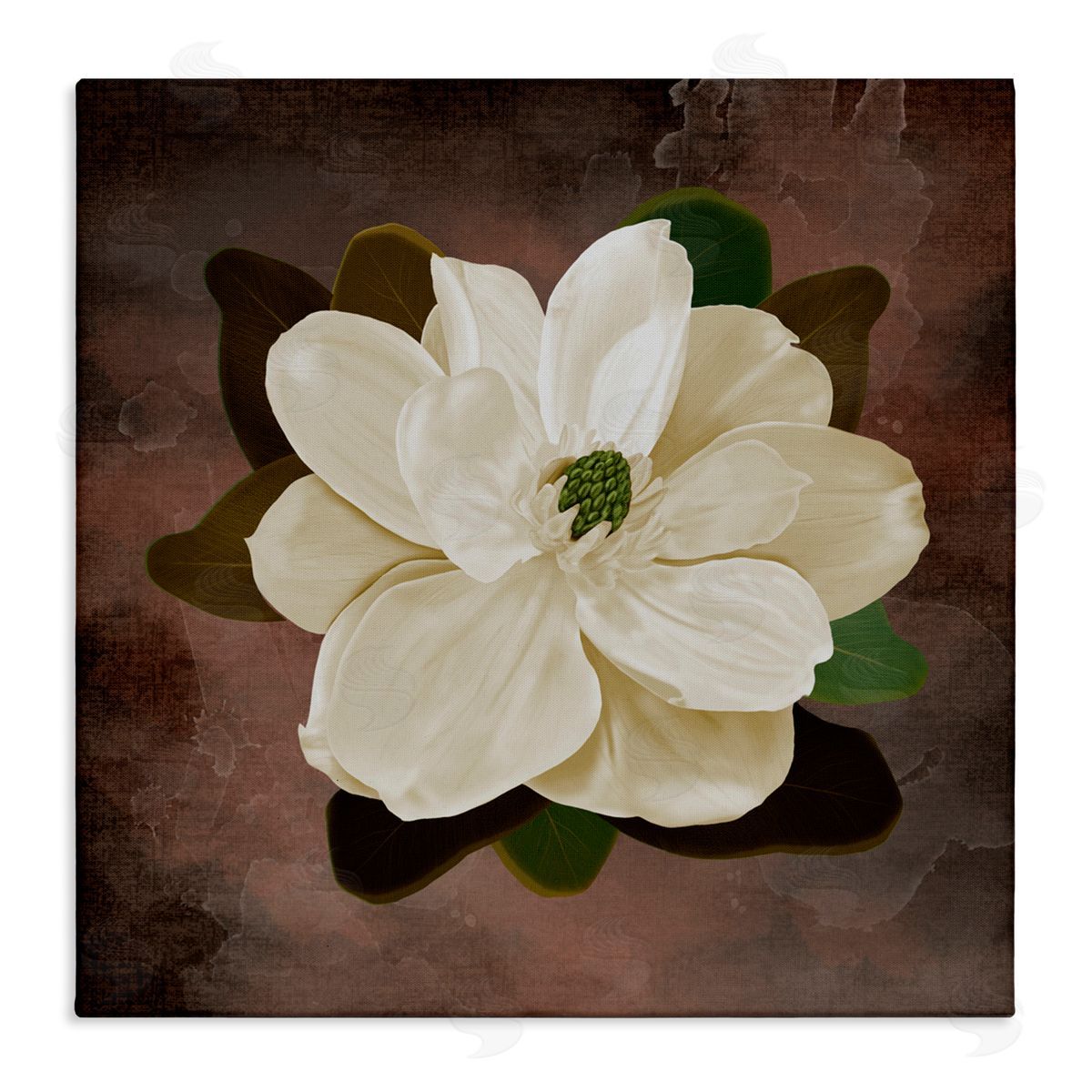 Jennifer Stith Magnolia on Brown Canvas Wall Art Print