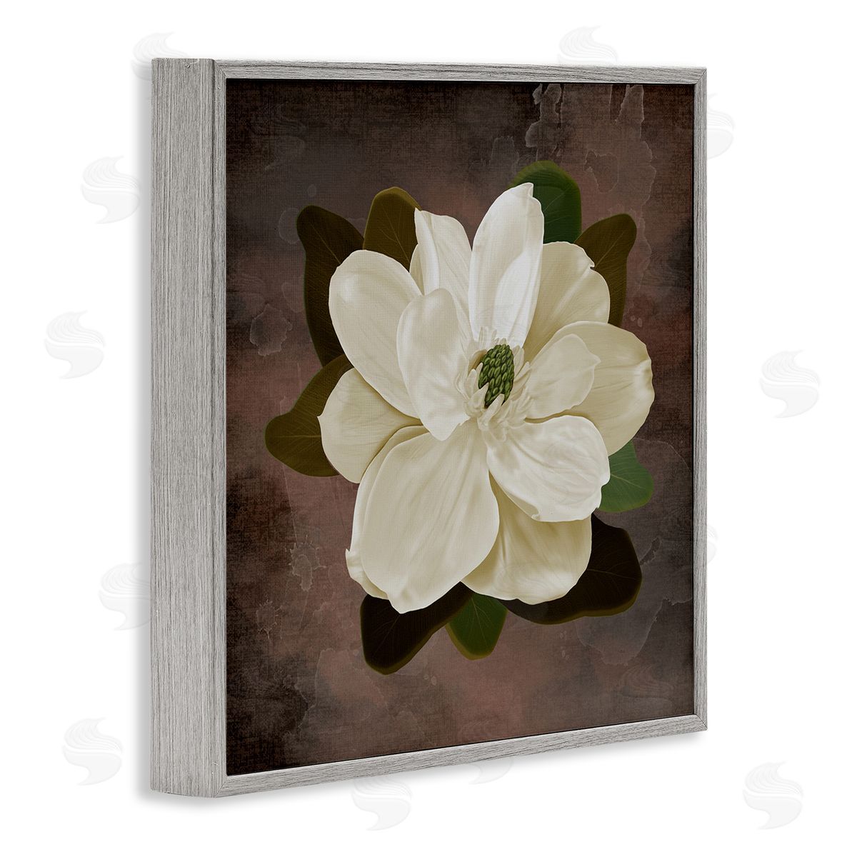 Jennifer Stith Magnolia on Brown Canvas Wall Art Print