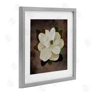 Jennifer Stith | Magnolia on Brown