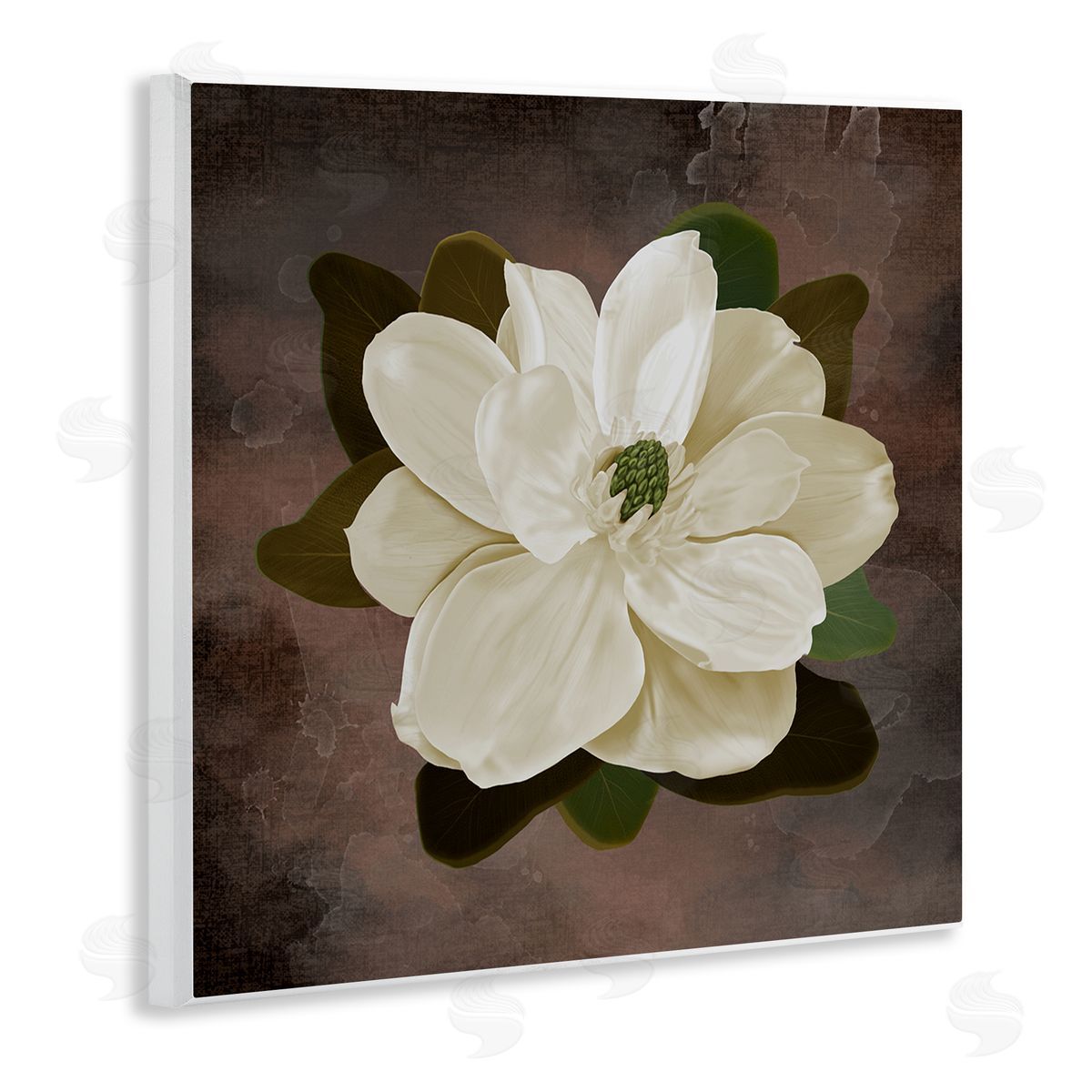 Jennifer Stith Magnolia on Brown Canvas Wall Art Print