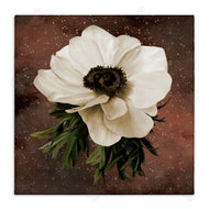 Jennifer Stith | Anemone on Brown
