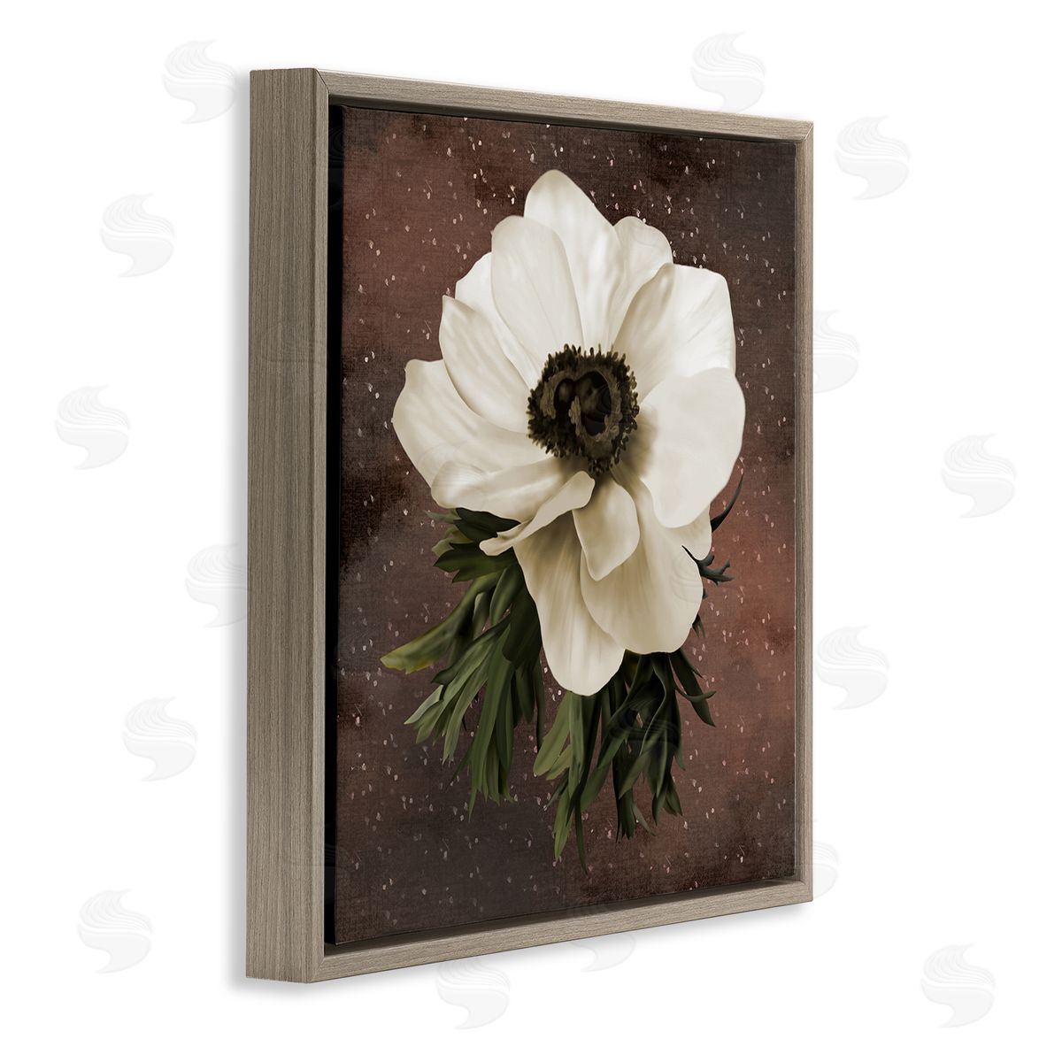 Jennifer Stith Anemone on Brown Canvas Wall Art Print