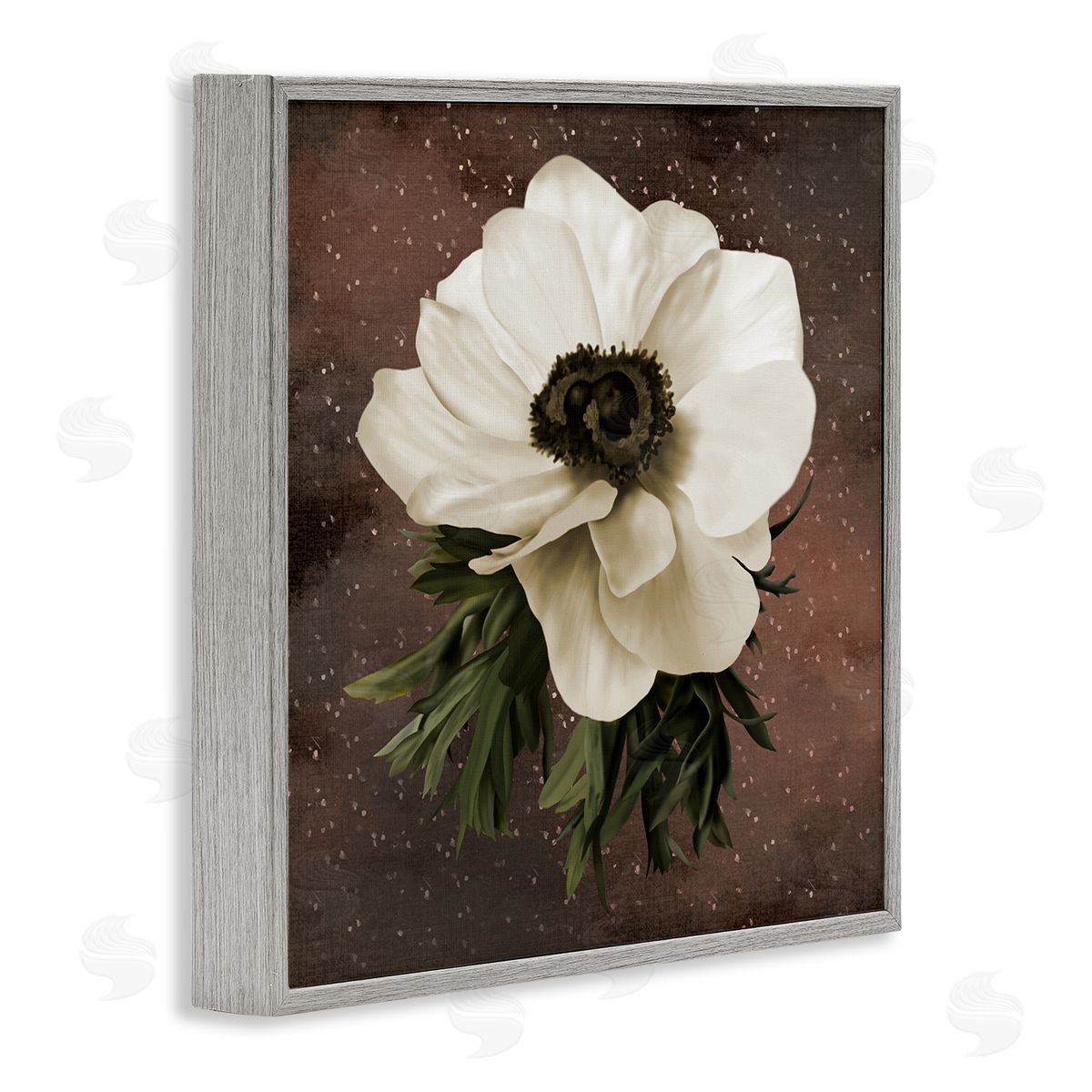 Jennifer Stith Anemone on Brown Canvas Wall Art Print
