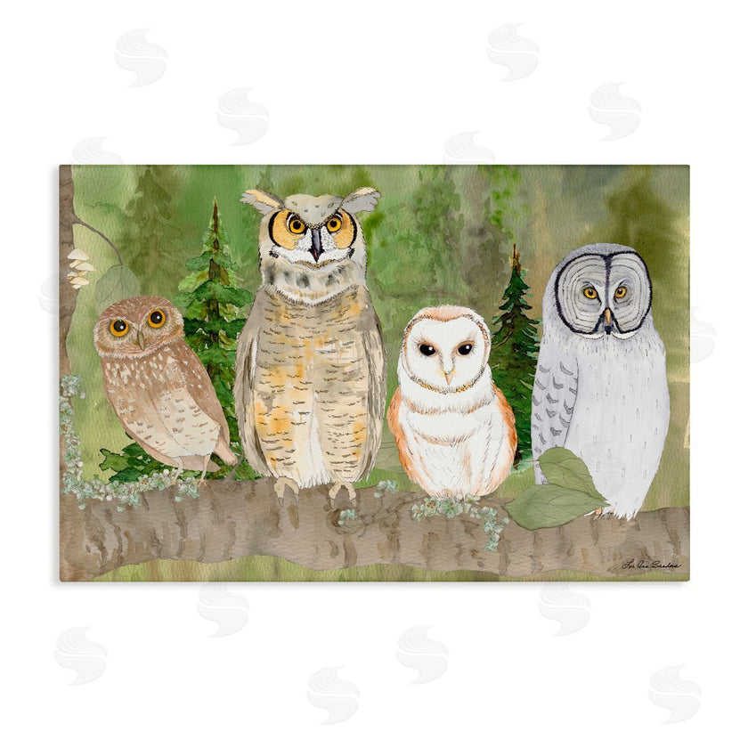 Lee Ann Sanders | Forest Owls on Perch