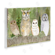 Lee Ann Sanders | Forest Owls on Perch