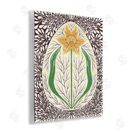 Hannah Beisang | Symmetrical Spring Daffodil