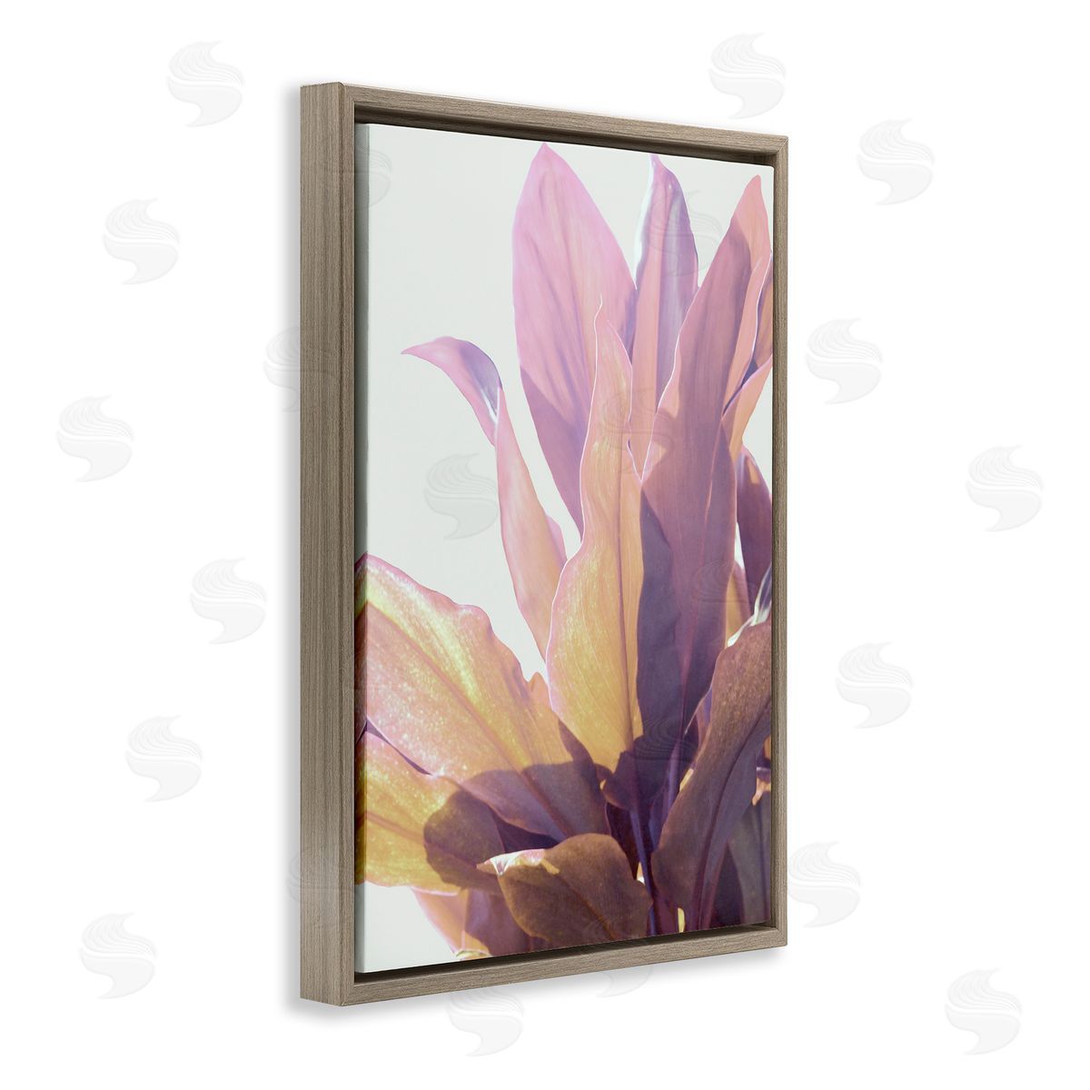 Gemma Bardot Leafy Sunlit Plant Canvas Wall Art Print
