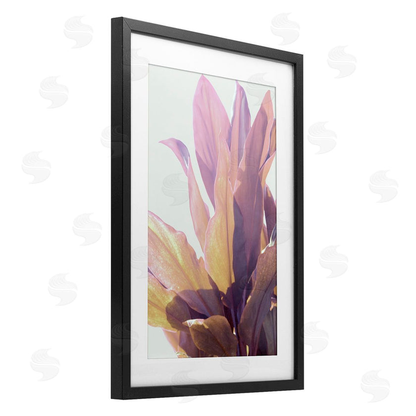 Gemma Bardot | Leafy Sunlit Plant