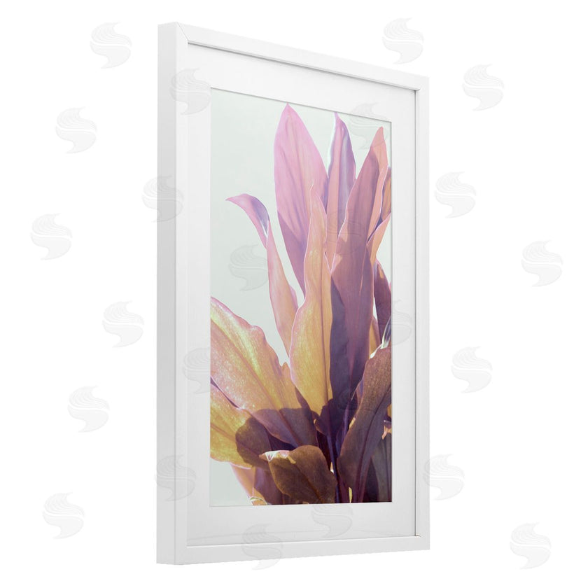 Gemma Bardot | Leafy Sunlit Plant