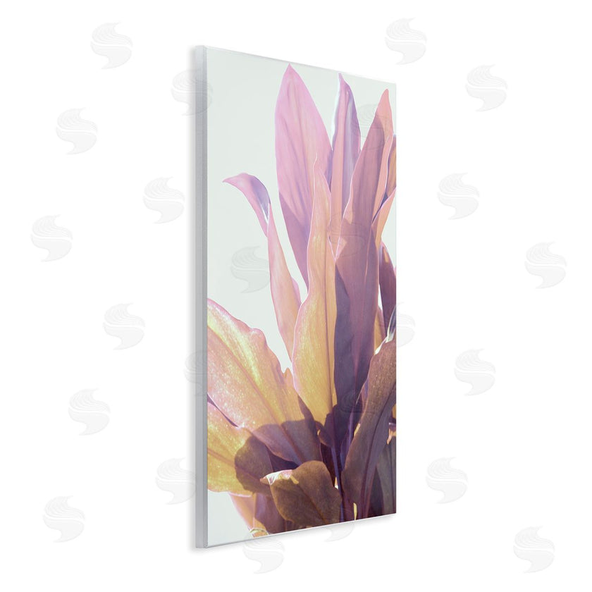 Gemma Bardot | Leafy Sunlit Plant