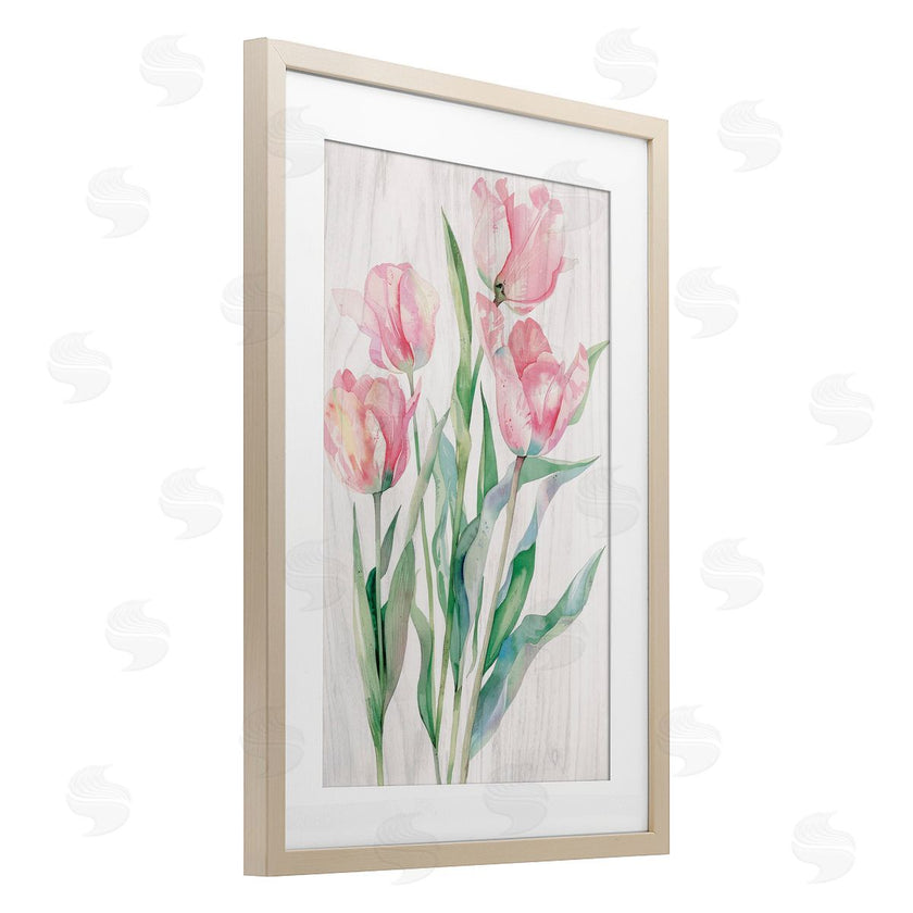 Maya Blooms | Pink Tulip Blossoms