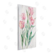 Maya Blooms | Pink Tulip Blossoms