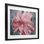 Shirley G. | Flower with Wavy Petals