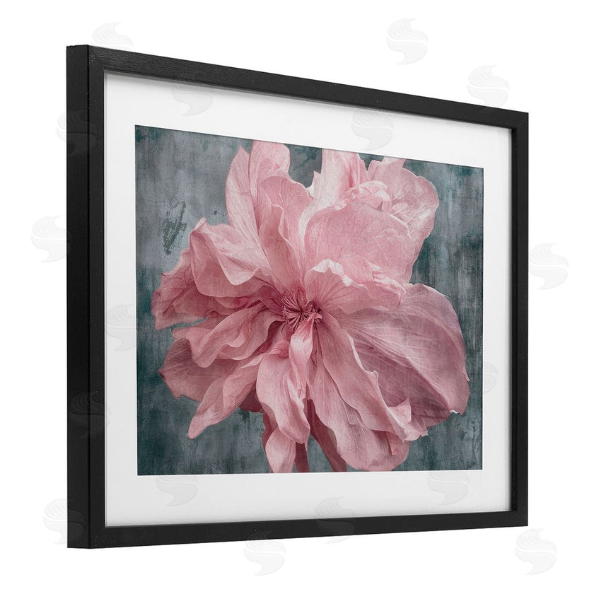 Shirley G. | Flower with Wavy Petals